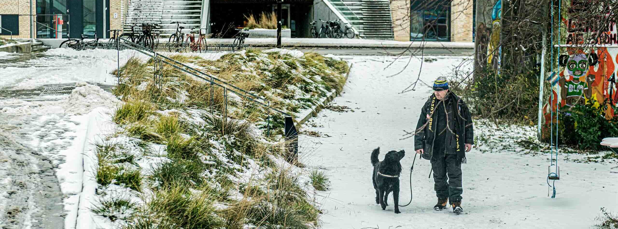 Et medlem af Hus Forbi der går en tur med sin hund i et snedækket Danmark. Hjælp hjemløse i Danmark ved at støtte Hus Forbi.